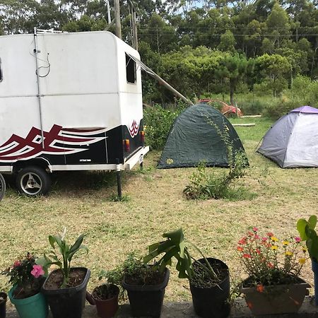 Camping Refugio Shakti II Florianópolis Dış mekan fotoğraf